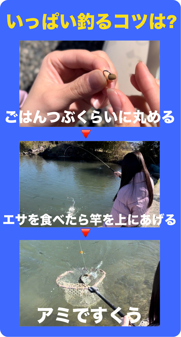 いっぱい釣るコツは？