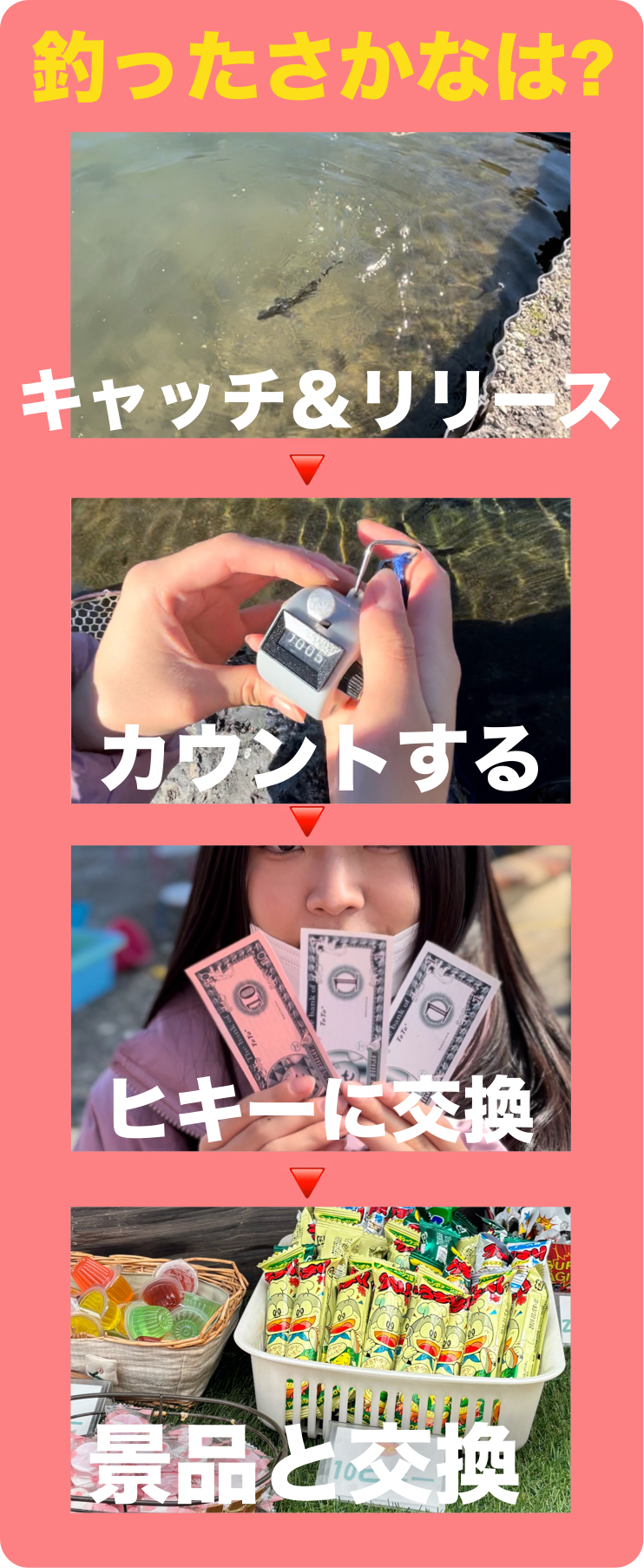 釣ったさかなは？